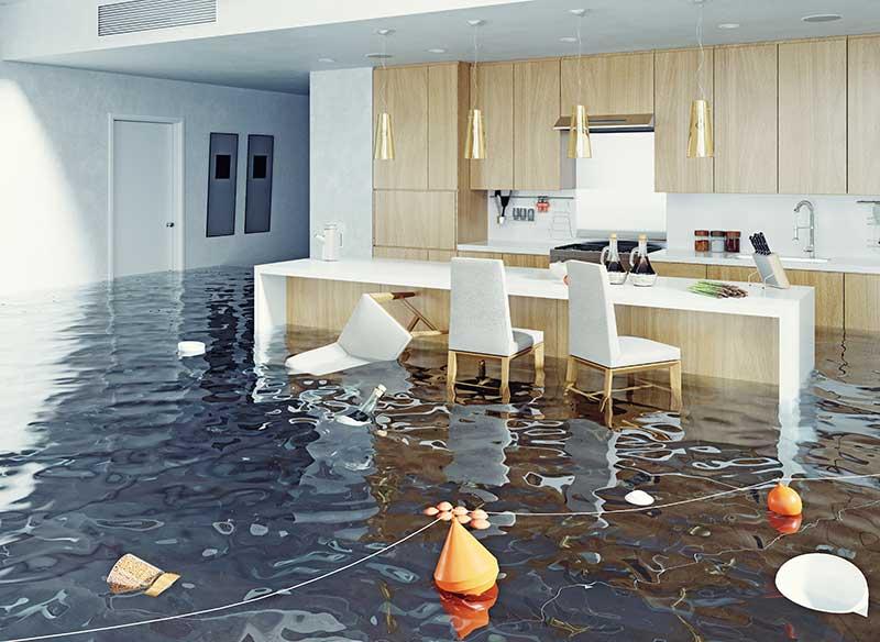 How Much Does Water Damage Restoration Cost?